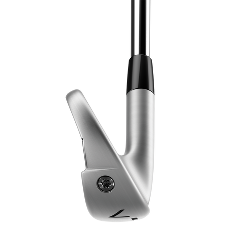 TaylorMade P790 Custom Irons