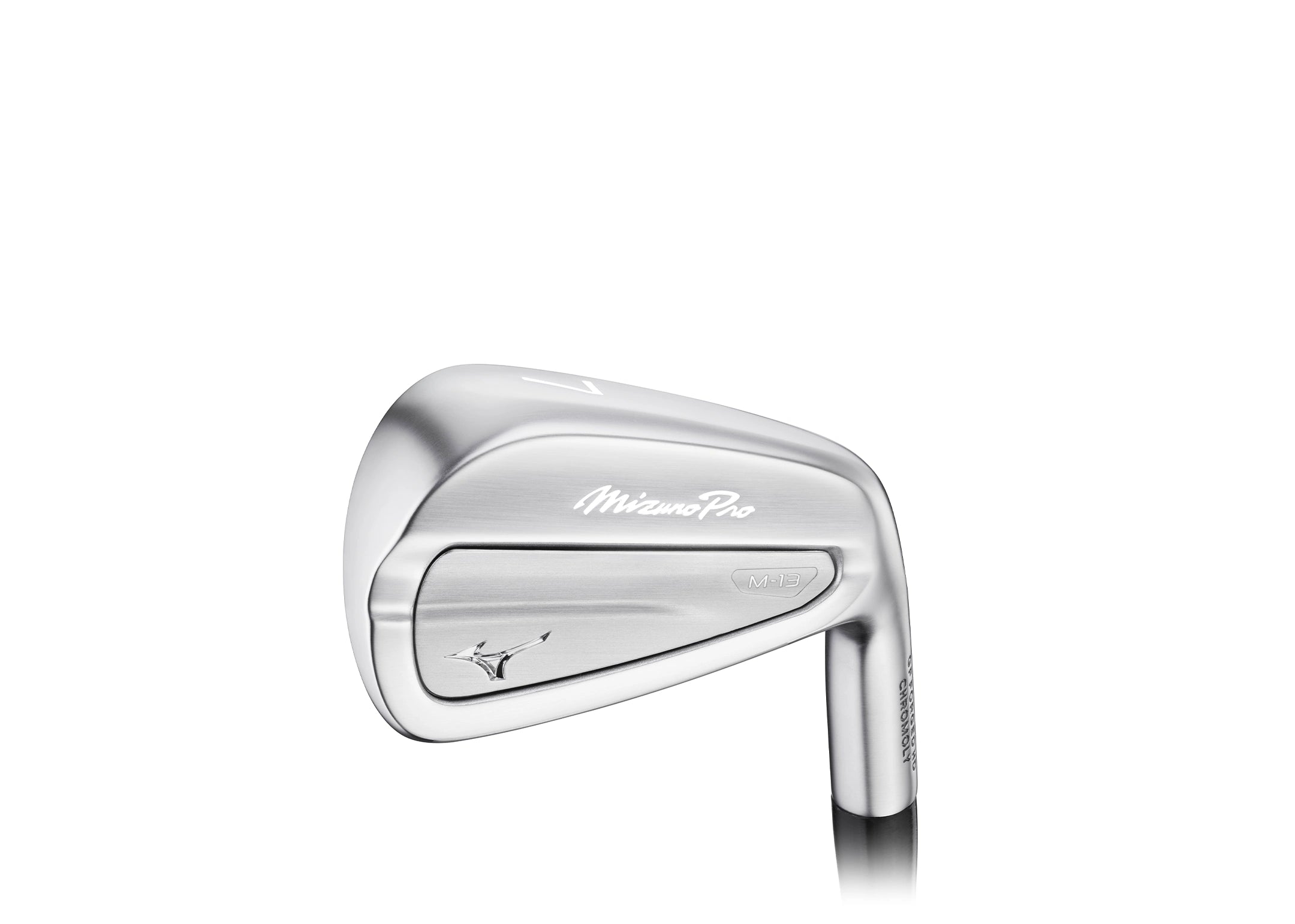 Mizuno Pro M-13 Custom Irons