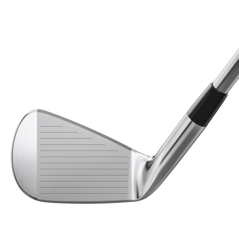 Mizuno Pro 241 Custom Irons