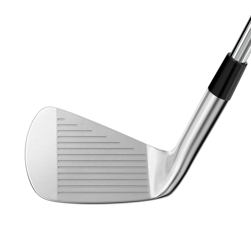 Miura MB-101 Custom Irons