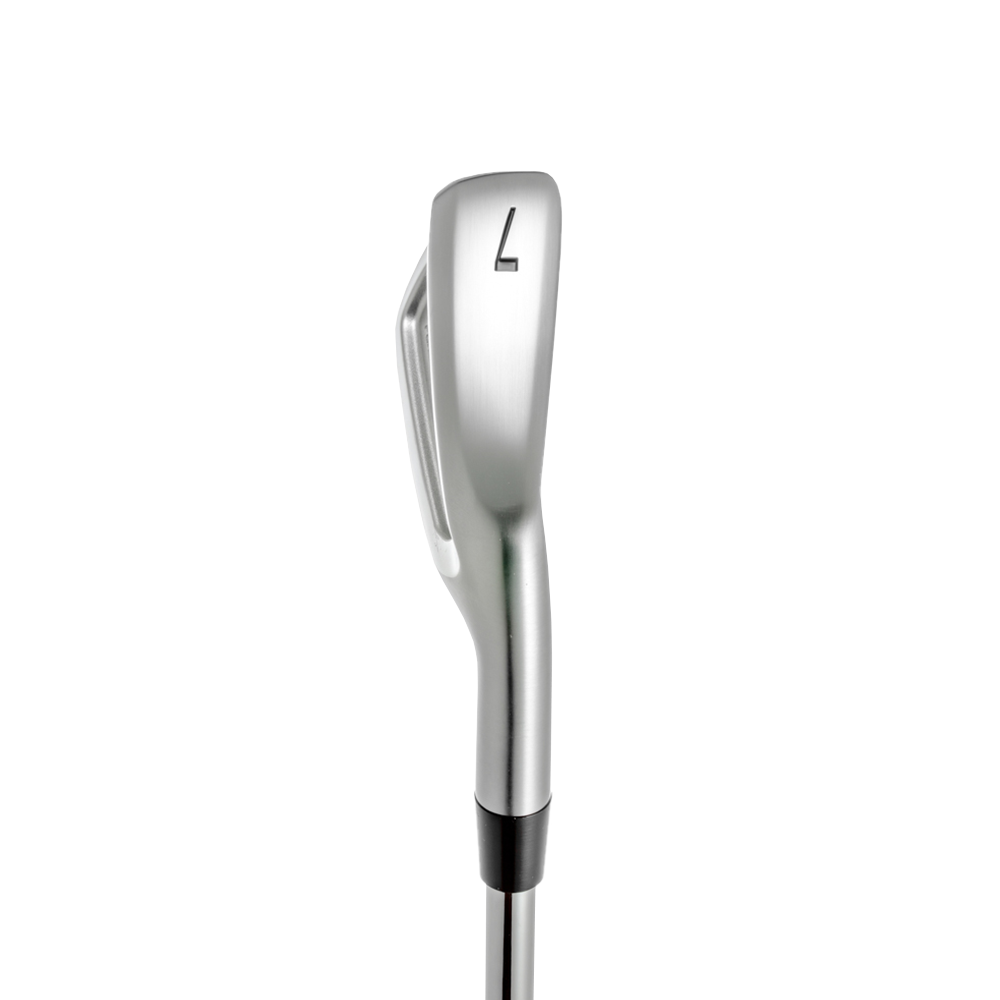 Proto Concept C03TC Custom Irons