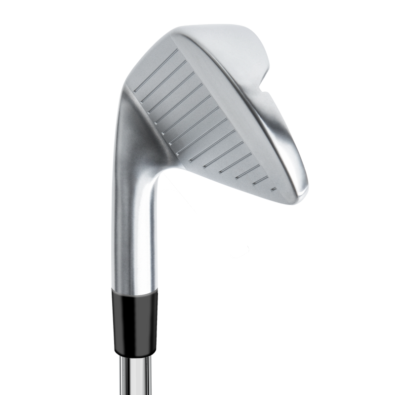 Miura TC-201 Custom Irons